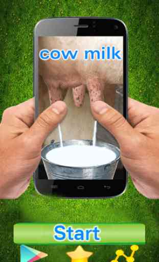 Cow Milk 1