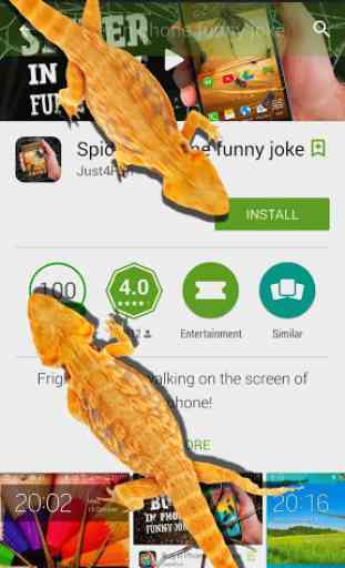 Lizard in phone funny joke 2