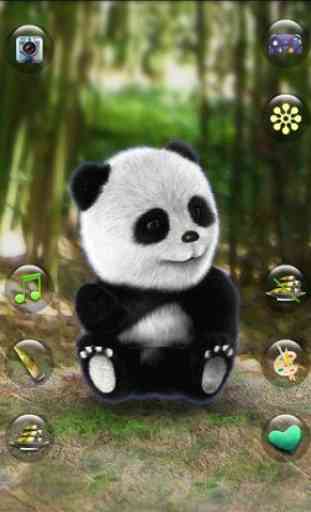 Talking Panda 1