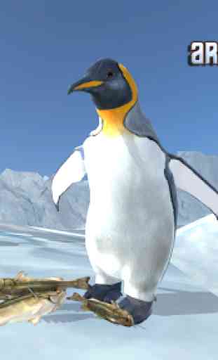 Arctic Penguin 1
