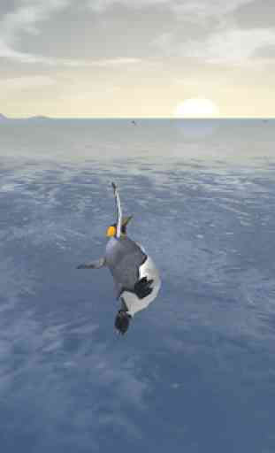 Arctic Penguin 4