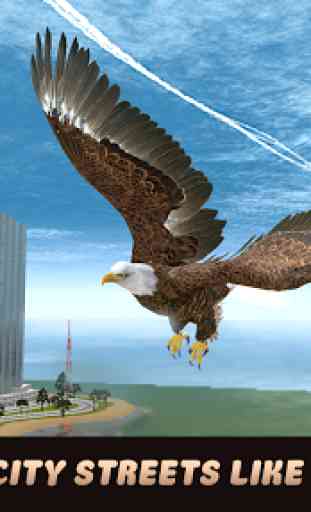 City Bird Eagle Simulator 3D 1