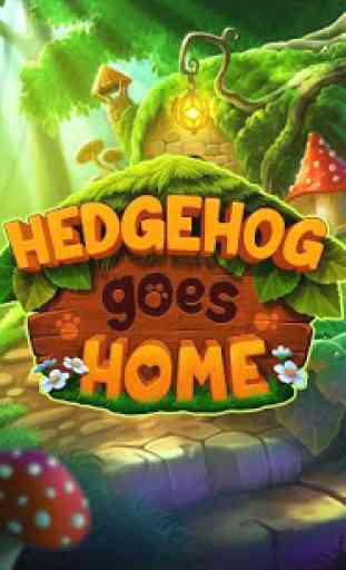 Hedgehog goes home 1