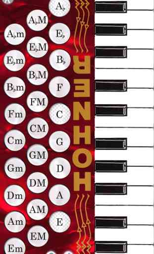 Hohner Piano Mini SqueezeBox Accordion 2