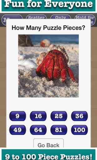Hourly Jigsaw Puzzles FREE New Pictures Every Hour 2