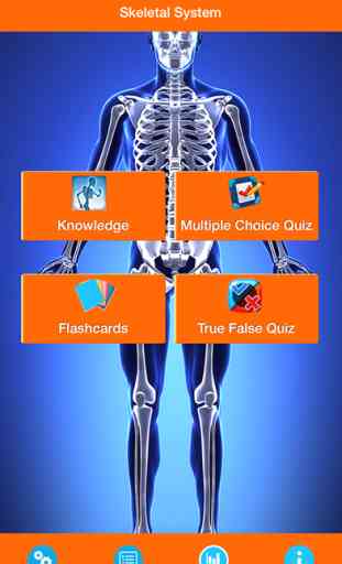 Human Anatomy : Skeletal System 1
