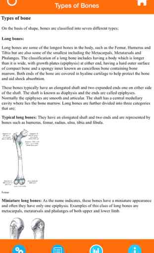Human Anatomy : Skeletal System 3