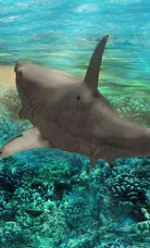 Hungry Great White Shark Attack Simulator Sea Hunt 1