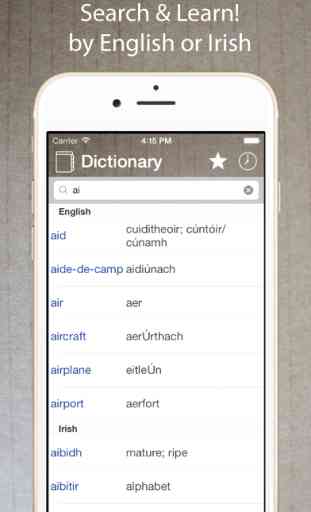Irish English Dictionary - Focloir Gaeilge Bearla 1