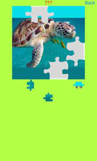 Jigsaw Puzzles for Clownfish and Friends 3