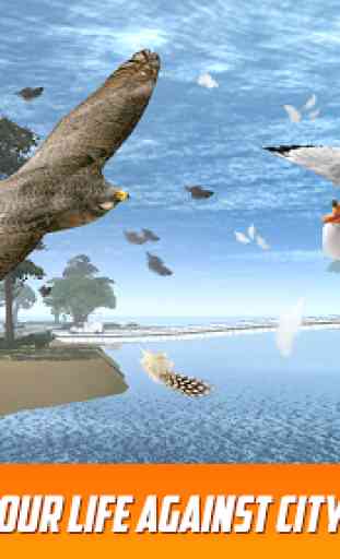 Seagull: Sea Bird Simulator 3D 3