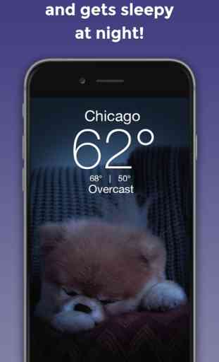 Boo Weather: Pomeranian Puppy 3