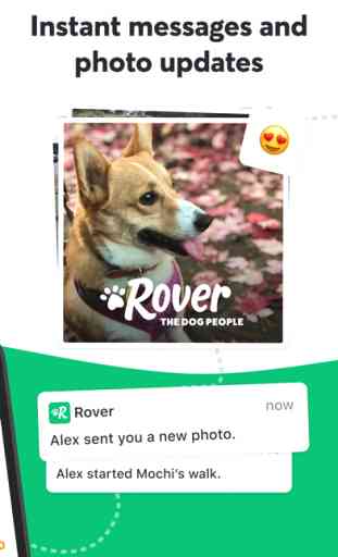Rover—Dog Sitters & Walkers 3