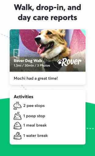 Rover—Dog Sitters & Walkers 4