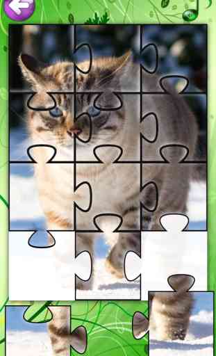 Kitty Kitten Jigsaw Puzzle Games for Girls with Baby Pet Cat who Loves Educational Animal Puzzles for Kids 4