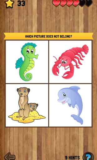Kids' Puzzles: 3+1 Pictures 4