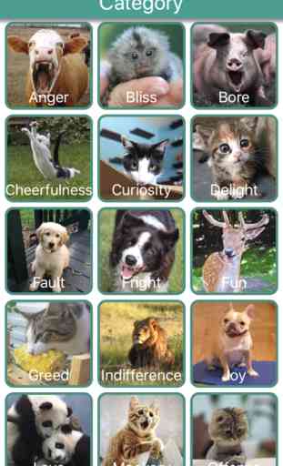 Animal Emojis With Text&Photos 1