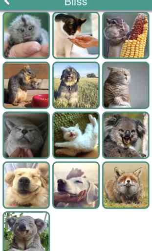 Animal Emojis With Text&Photos 2