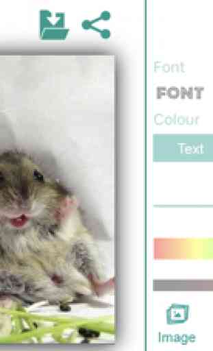 Animal Emojis With Text&Photos 3