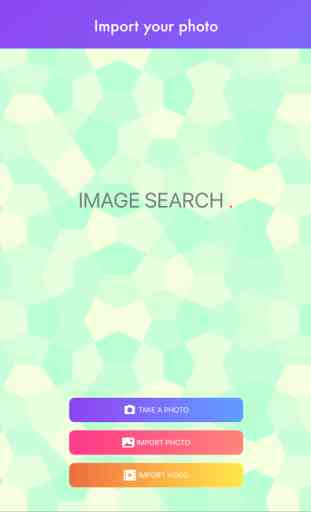 Reverse Image Search . 4