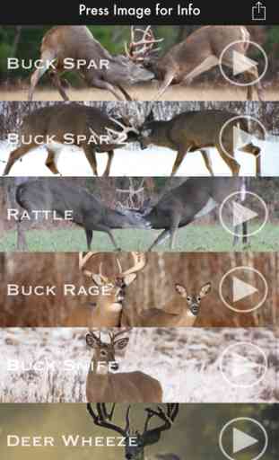 Deer Calls for Whitetail 4