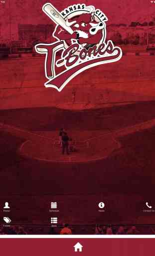 Kansas City T-Bones Baseball 4