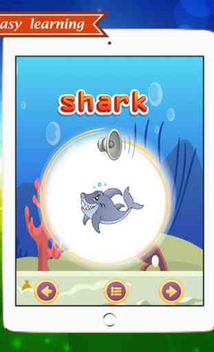Learning english vocabulary reading and listening for kids for sea animals 4