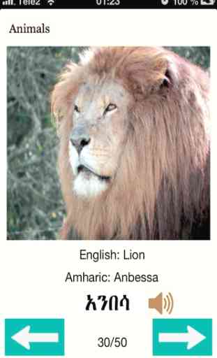 Learning Amharic 4