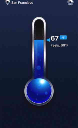 Real Thermometer 1