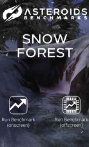 Snow Forest Benchmark 2