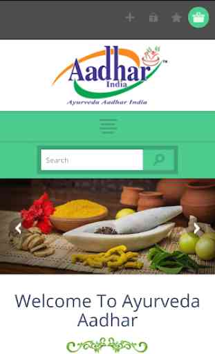 Ayurveda Aadhar India 1