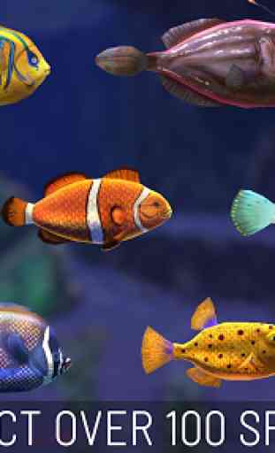 Fish Abyss - Build an Idle Ocean Aquarium 3