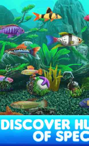 Fish Tycoon 2 Virtual Aquarium 2