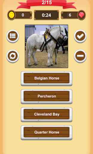 Horse Quiz 3