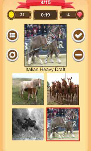 Horse Quiz 4