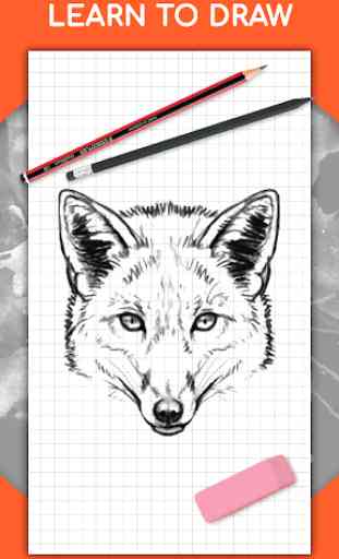 How to draw animals step by step, drawing lessons 1