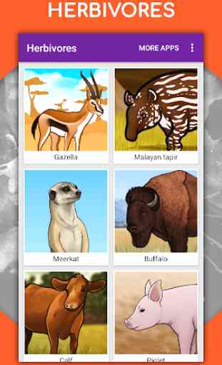 How to draw animals step by step, drawing lessons 3