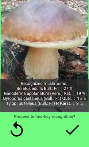 Mushrooms app 1