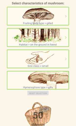 Mushrooms app 4