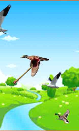 Birds shooter Angry Hunting 3