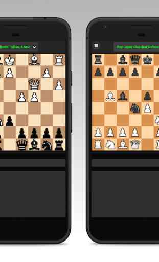 Chess Grandmaster 3