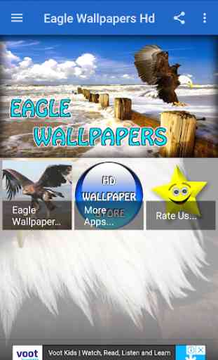 Eagle Wallpapers Hd 1