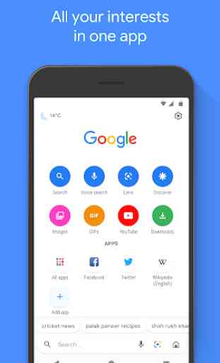 Google Go: A lighter, faster way to search 1