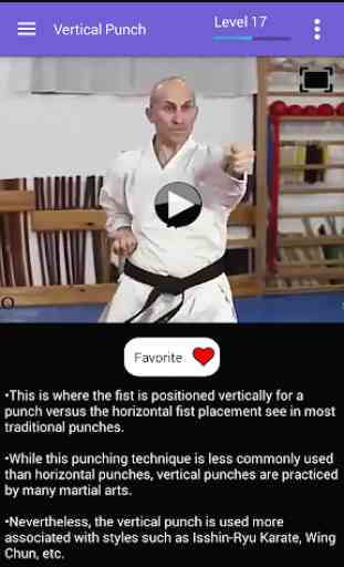 Hapkido Training - Offline Videos 4