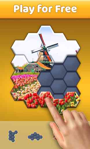 Hexa Jigsaw Puzzle™ 3