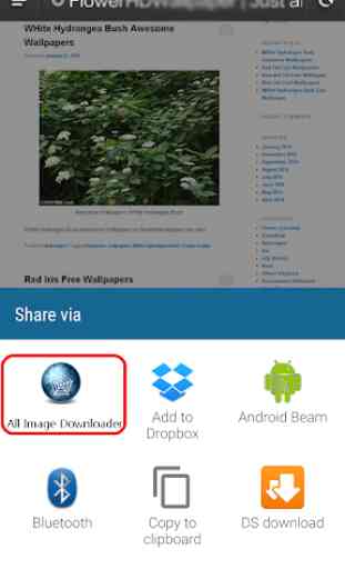 Image Downloader All - Search 1