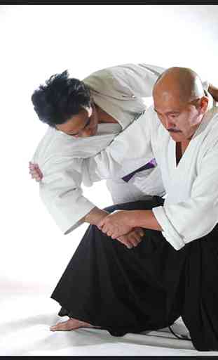 Learn aikido and self defense. Martial Arts 4