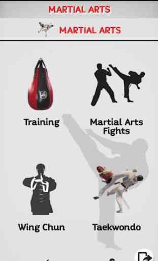 Martial Arts - Training and workouts 1
