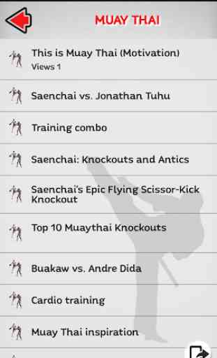Martial Arts - Training and workouts 3