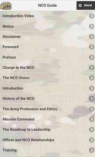NCO Guide 1